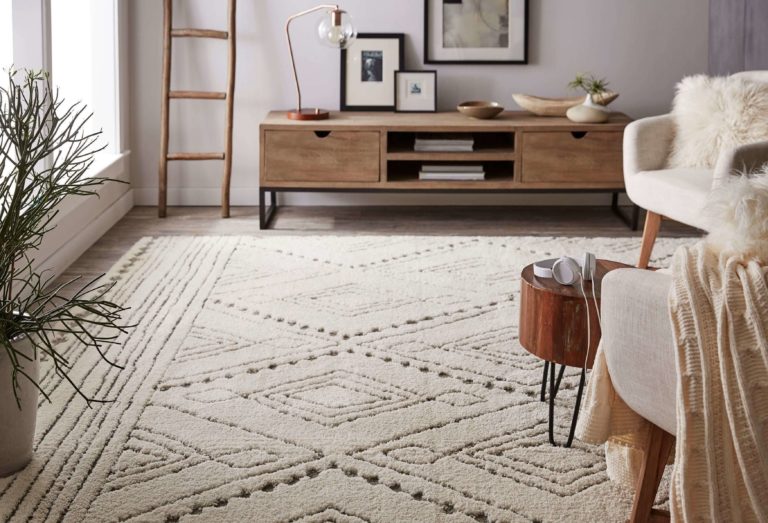 Newest Black and White Rug Ideas to Add Appeal to Your Home